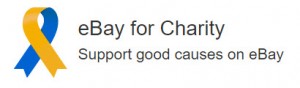 ebay for charities